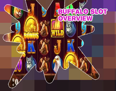 The buffalo slot machine